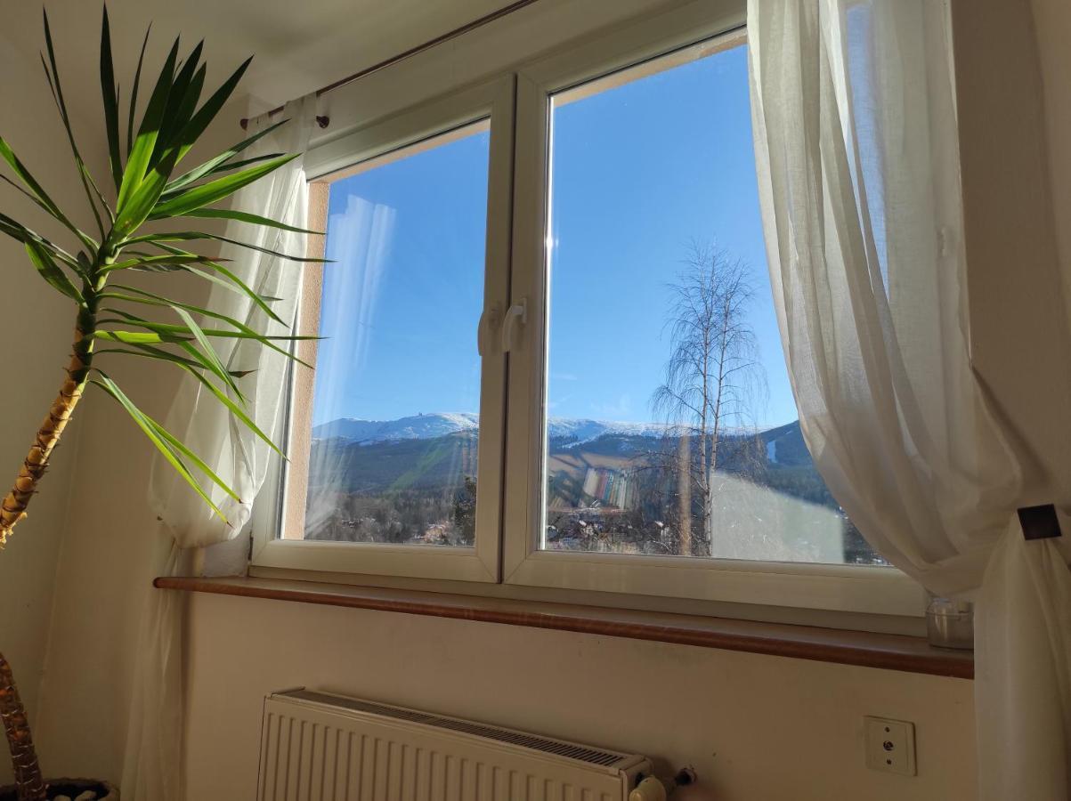 스클라르스카포렘바 Willa Mona B&B 외부 사진